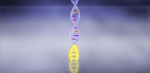 科学家们呼吁在3D基因组和表观遗传数据中统一标准
