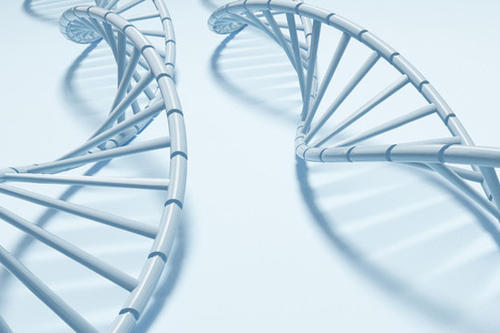基因测试挑选出可以对搜索和破坏药物做出反应的前列腺癌