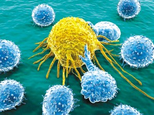 研究表明免疫细胞如何限制肿瘤的发展