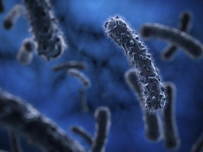 科学家发现葡萄球菌通过脂肽引发血液中毒