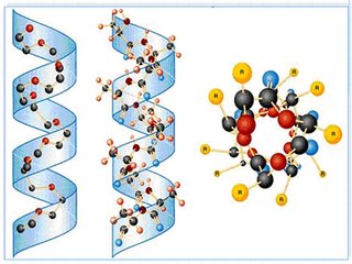 在纳米尺度上理解生物学的新技术