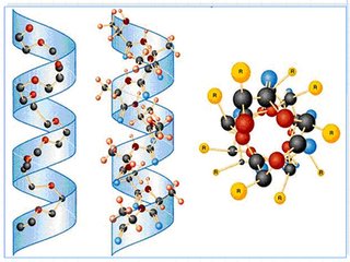 在纳米尺度上理解生物学的新技术