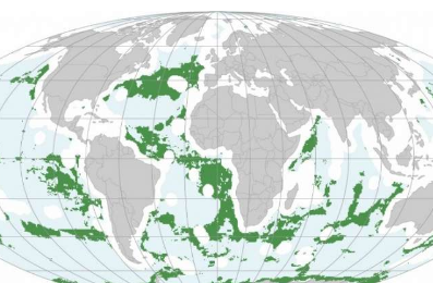 研究人员利用大数据确定生物多样性热点