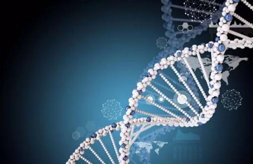 基因组测试可以加快皮肤疾病的研究速度 并更快地为患者带来新药