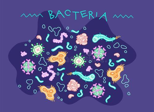 解码微生物代谢解释生物燃料产量