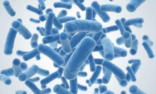 询问关于微生物组中细菌的不同问题可能会更准确地帮助定位疾病
