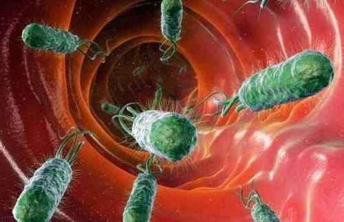 癌症预防药物也会使幽门螺旋杆菌细菌失效