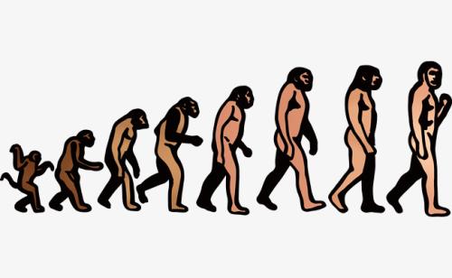 新发现揭示了人类祖先中直立行走的起源
