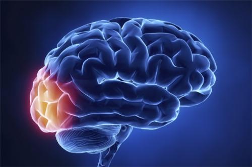 科学家在最近的一项研究中发现脑肿瘤的演变