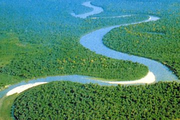 亚马逊森林未能跟上气候变化的步伐