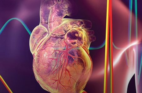 巨噬细胞中的TRIB1抑制可能是新的心血管疾病治疗目标