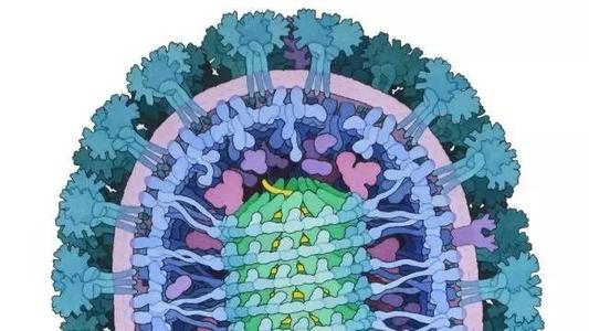 研究为旅客提供埃博拉病毒筛查计划的有效替代方案