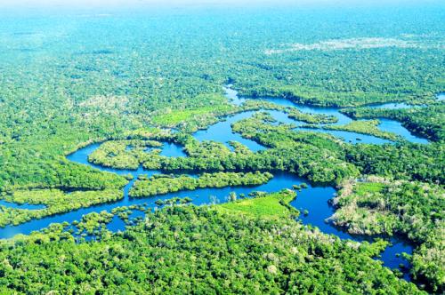 碳抵消市场利用巴西亚马逊地区的森林碳价值