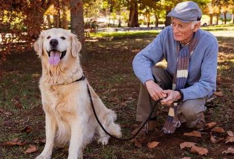 宠物帮助老年人应对健康问题积极参与并与他人联系