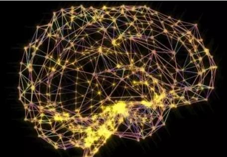 大脑网络中的推挽动态是阻止癫痫发作的关键