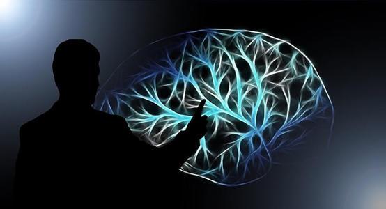 脑成像可以预测阿尔茨海默氏病的认知能力下降