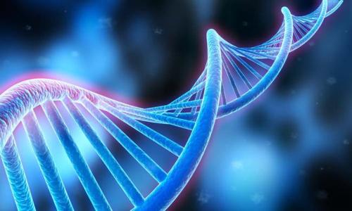 科学家们研究免疫疾病背后的DNA差异
