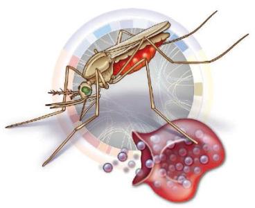 用蚊香诱捕器在抗击疟疾方面取得突破