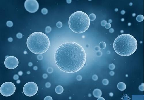 用人类多能干细胞衍生的未成熟肝细胞样细胞模拟NAFLD