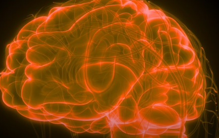阿尔茨海默氏症的3D模型显示了血脑屏障在疾病进展中的作用