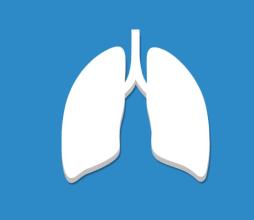 成功移植后生物工程肺的新生活