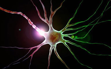 研究人员确定出生缺陷 神经退行性疾病之间的联系