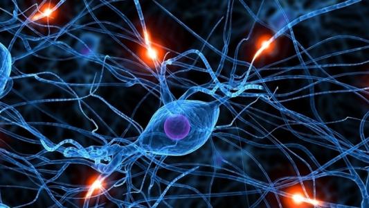 神经细胞保护对红细胞生成没有副作用