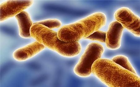 通过靶向使能流感的蛋白质抗体可以防御多种菌株