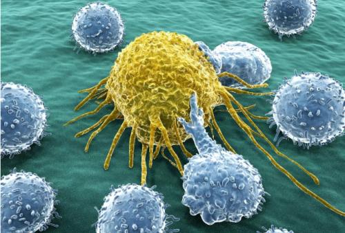 为什么要观察癌细胞行为