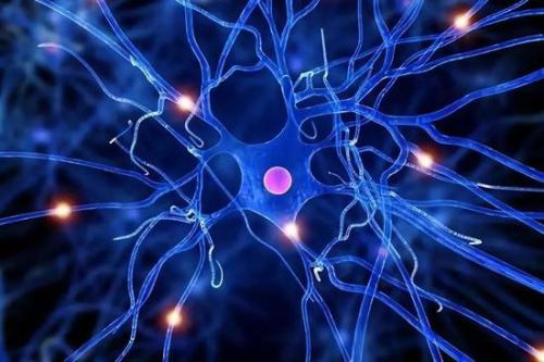 阿尔茨海默氏症神经元细胞能量产生的改变