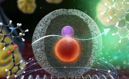 可远程控制活细胞内部化学反应的纳米催化剂