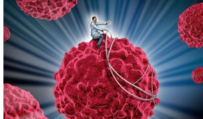 使用工程化的现成治疗性T细胞对抗癌症