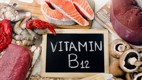 素食者面临维生素B12缺乏风险的研究