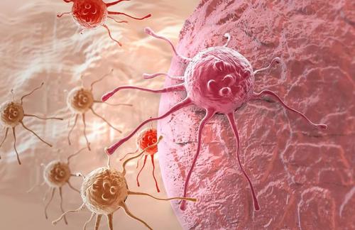 机会性癌细胞通过间隙滑过血管扩散