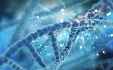 新的研究可以微调基因剪刀CRISPR