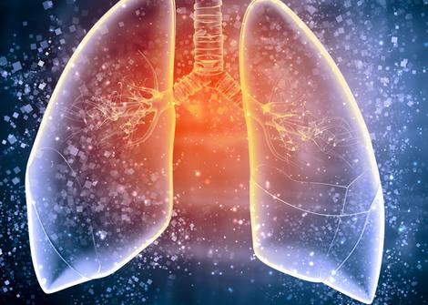 KAIST确定脓毒症引起的肺损伤的原因
