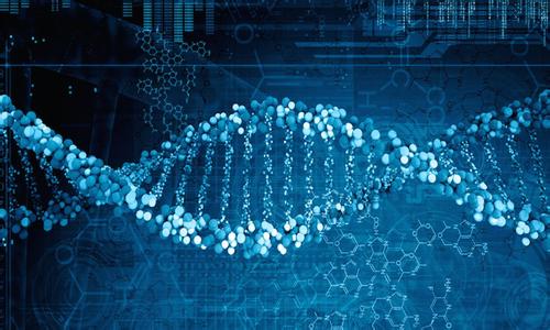 科学家在编制遗传数据时证明了不同种群的优势