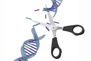基因剪刀CRISPR使基因操作比以往任何时候都更容易