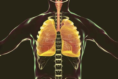 使用来自高风险供体的肺扩大供体库维持目前的存活率