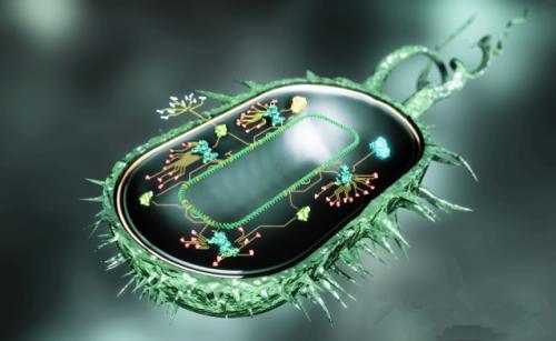 合成生物学在实际应用之前需要强大的安全机制