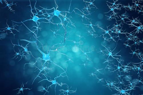 BrainHealth研究人员正在研究社交知觉的神经化学