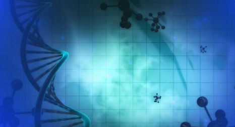 基因编辑工具包使科学家可以同时创建各种疟疾菌株