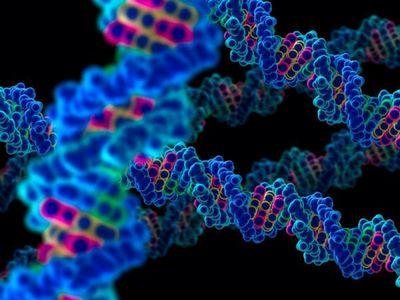 研究人员无线攻击基因这是重新编程人类基因组的一步