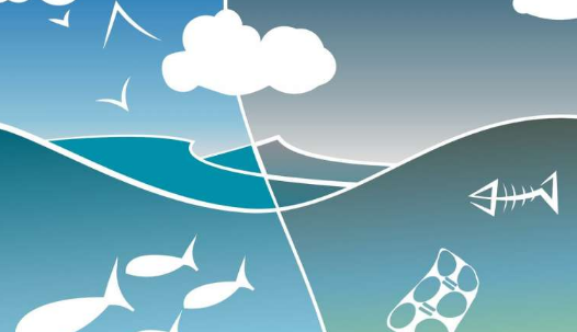 微生物群落的新研究有助于阐明解决生态学这一基本问题的方法 生物科学网 微生物群落的新研究有助于阐明解决生态学这一基本问题的方法 生物科学网