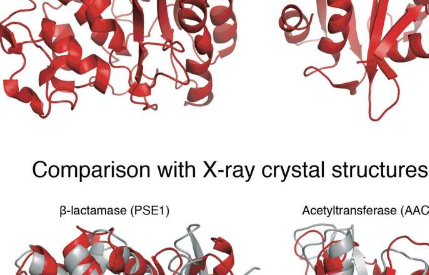 确定蛋白质结构的新技术可能解决生物医学难题