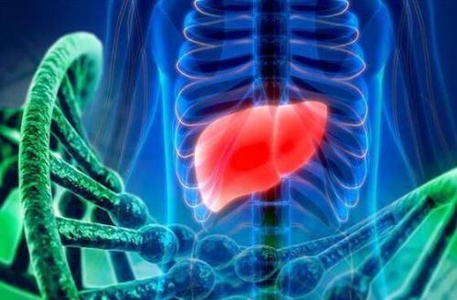 超重的青春期男性更有可能在以后的生活中患上严重的肝脏疾病