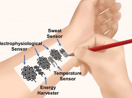 研究人员使用铅笔在人体皮肤上绘制生物电子设备