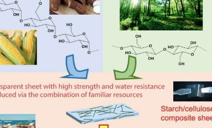 研究人员创造了将淀粉和纤维素结合在一起的可水降解塑料