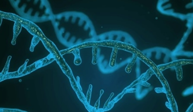 癌细胞中发现的环状DNA支持其生存和抵抗力