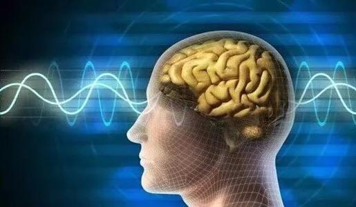 研究人员发现大脑中感觉灵活性的起源